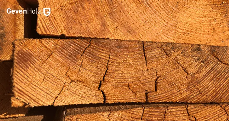 Risse im holz 