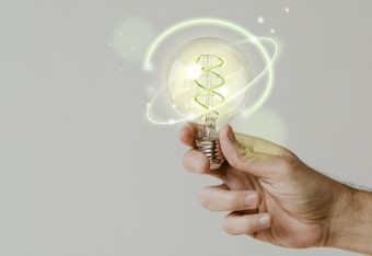 Wir lieben und leben Effizienz - Grüne Energie mit einer Hand, die eine umweltfreundliche Glühbirne hält