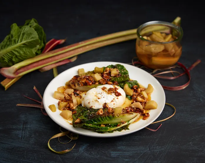 Gegrillter Romanasalat / mit Burrata und gepickeltem Rhabarber