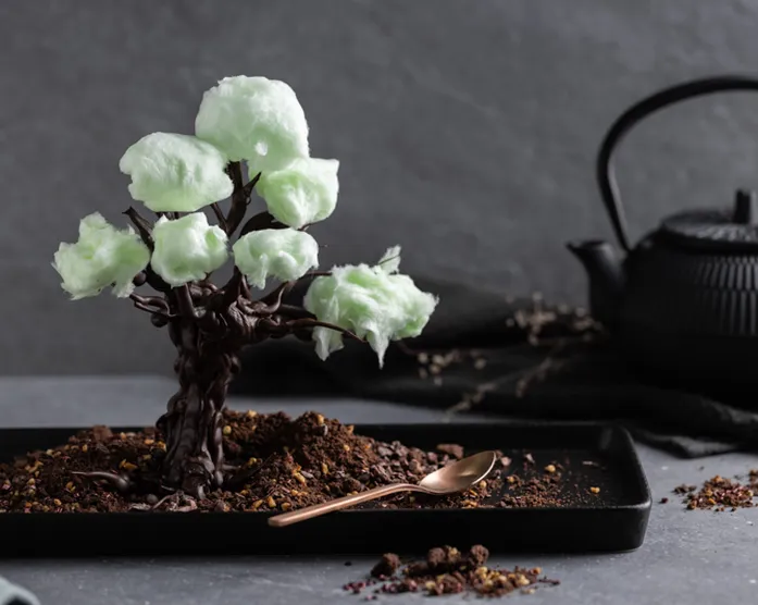 Community Challenge / 3D Schokoladenbaum / Dessert
