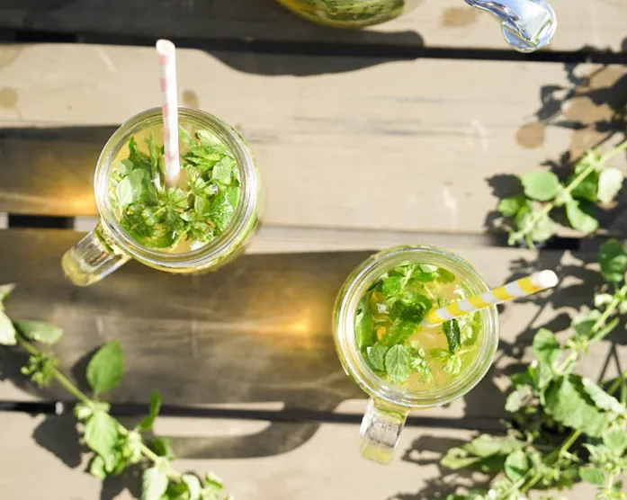 Kräuterlimonade / Almdudler / Rivella / ohne Zuckerzusatz