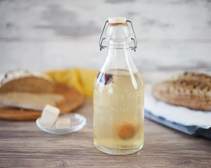 Hefe selber machen / fermentiertes Wasser / Hefewasser