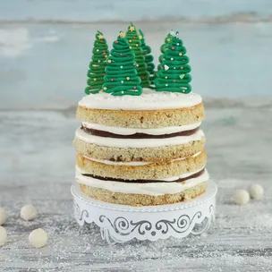 Weihnachtstorte Naked Cake / Christmas Cake / Weihnachtsklassiker mit Tannenbäumen