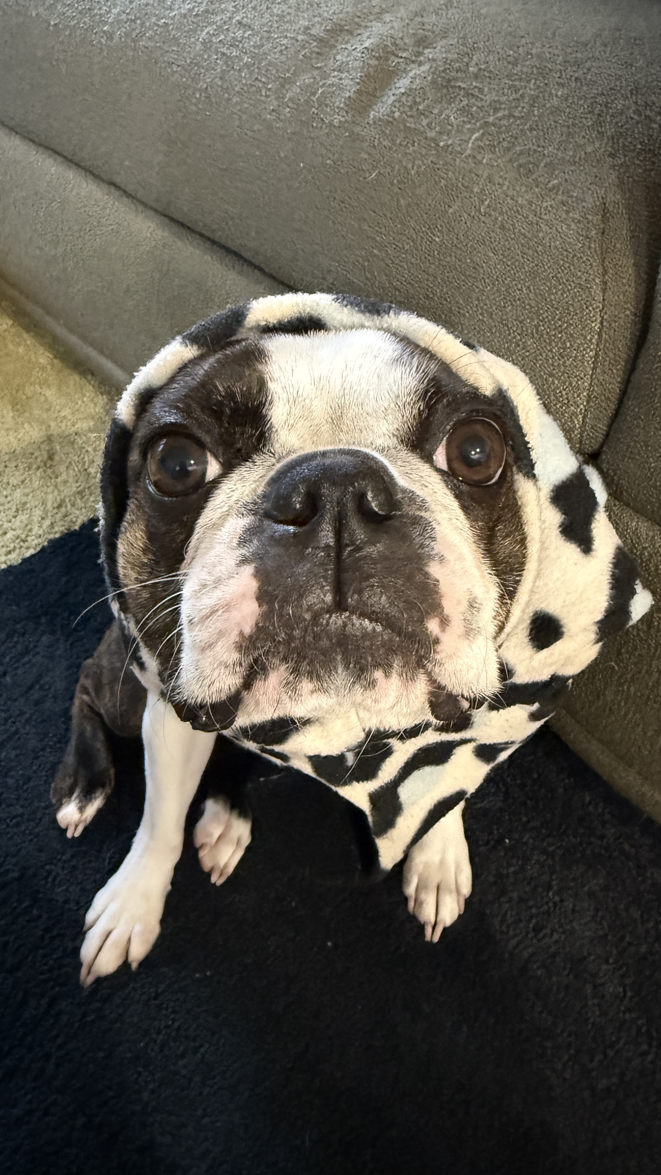 67% off fresh grass yayy [BULK 10:07:06]