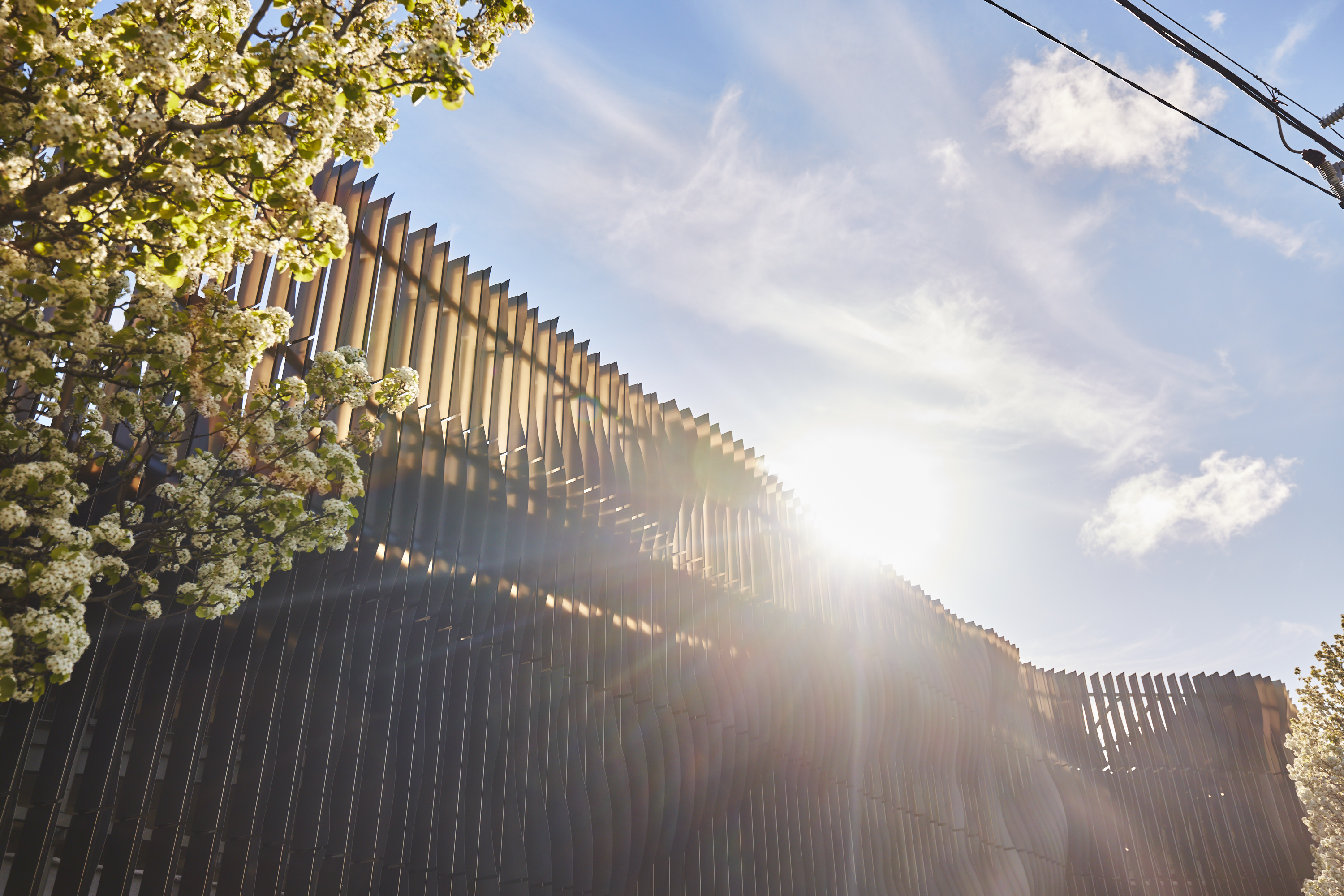 Events test hidden page