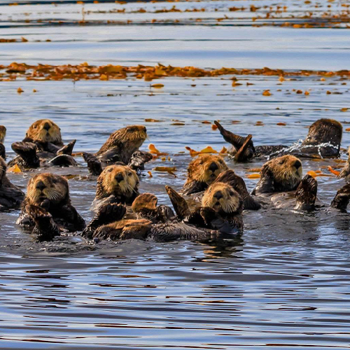 National News Pinned