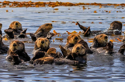 National News Pinned