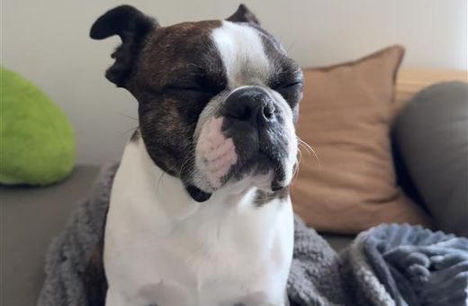 Coffee brewer - Stanley