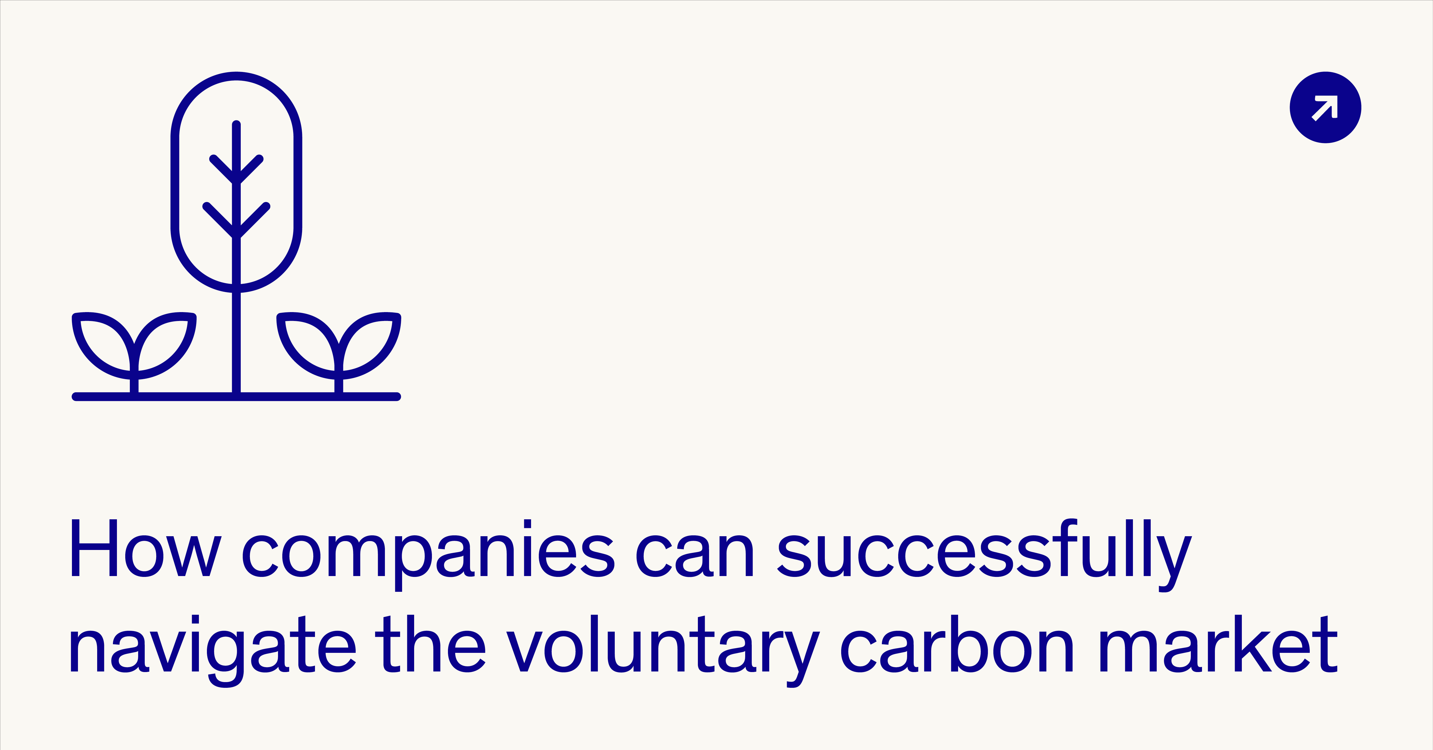 Photo inspiration: Gallery Detail: How Companies Can Successfully Navigate The Voluntary Carbon Market