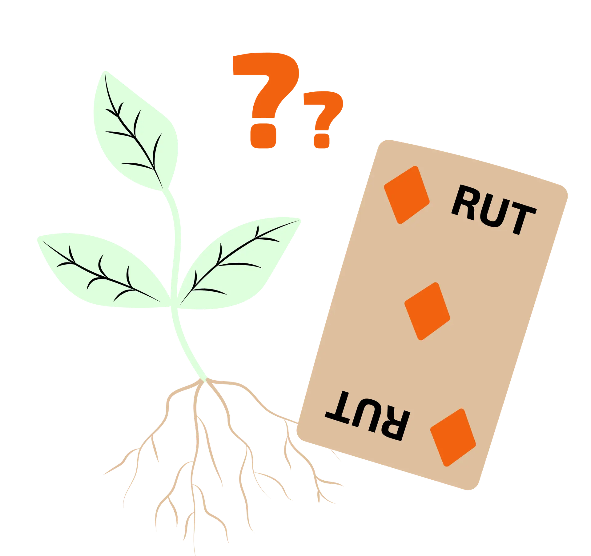 Rot och rut