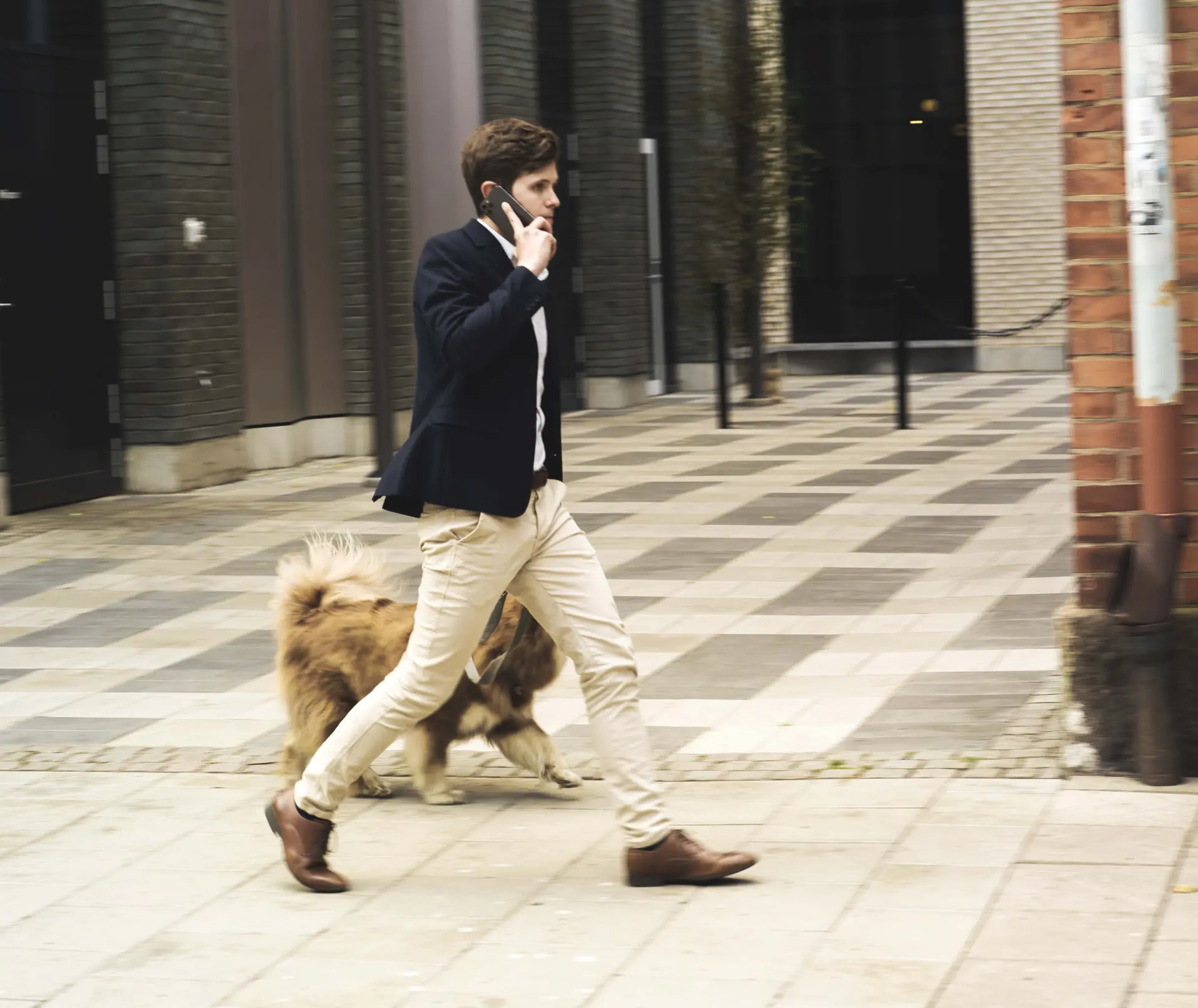 Man walking a large fluffy dog on a city sidewalk while talking on a smartphone, wearing a dark blazer and beige pants.