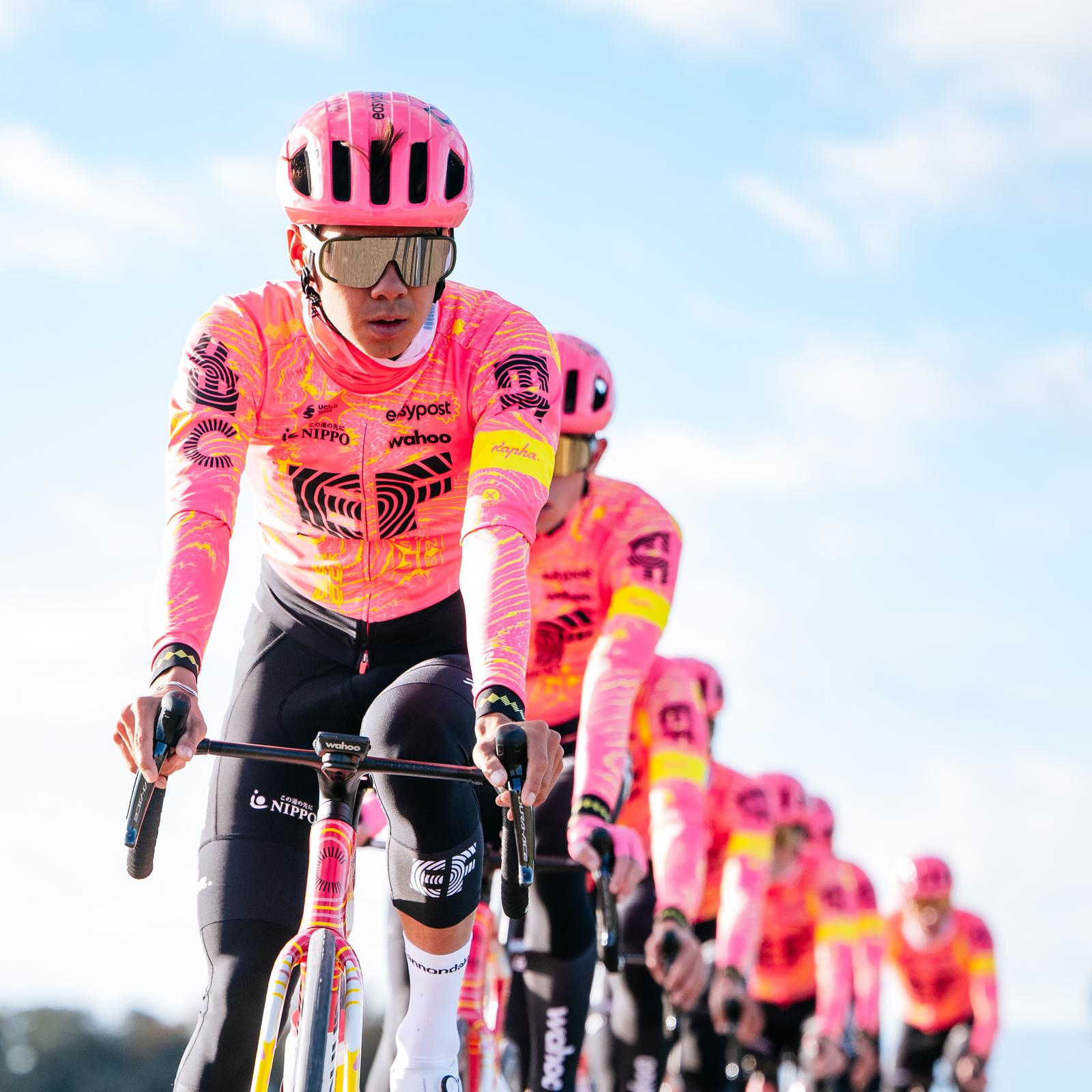 Maillot Cyclisme Rapha EF Education First 2024 - Alberto Bettiol - Violet, Taille M