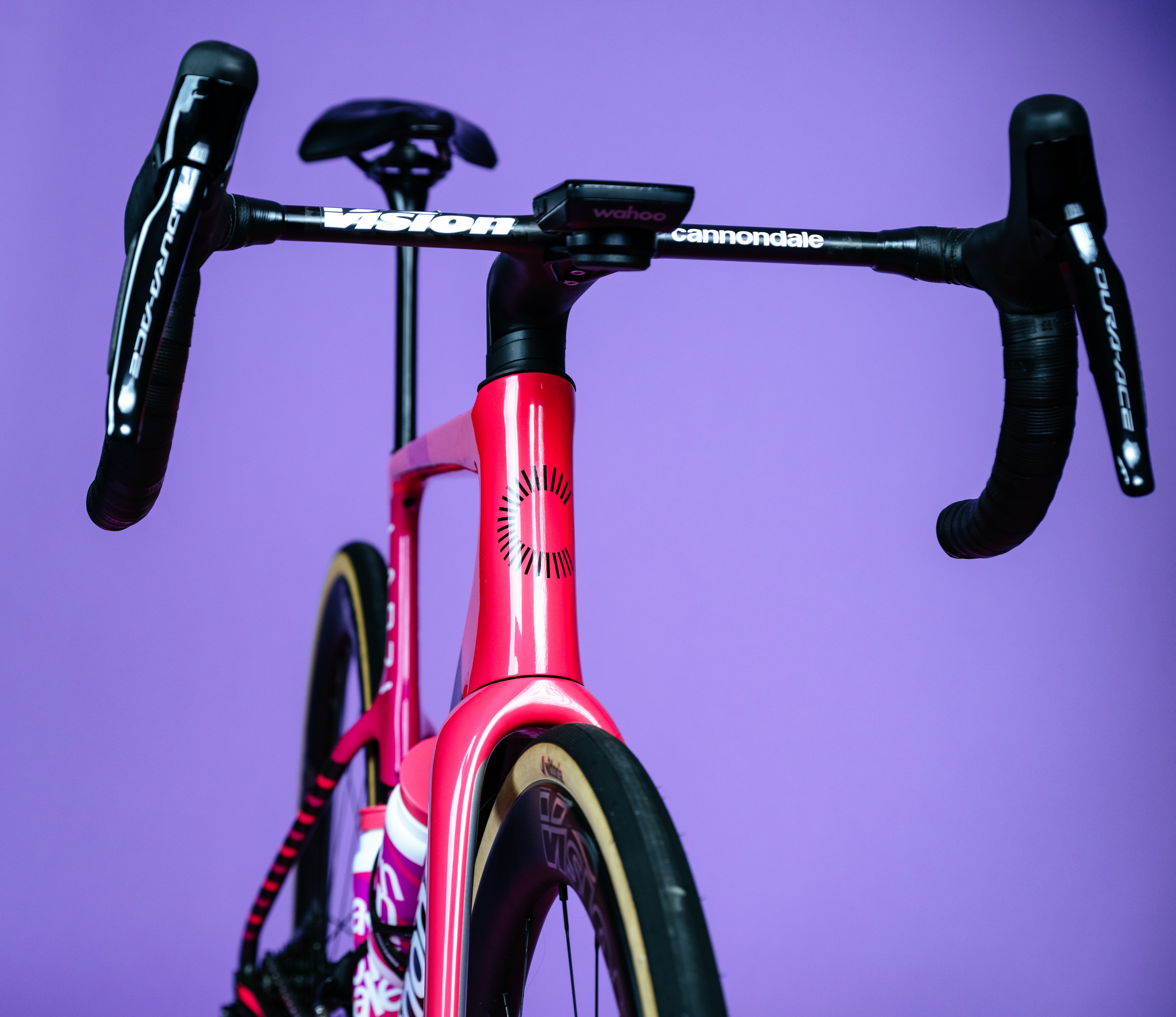 cannondale lab71REF 2025チームエディションカラーフレーム Cannondale EF Pro Cycling LAB71 SuperSix EVO Team Edition
