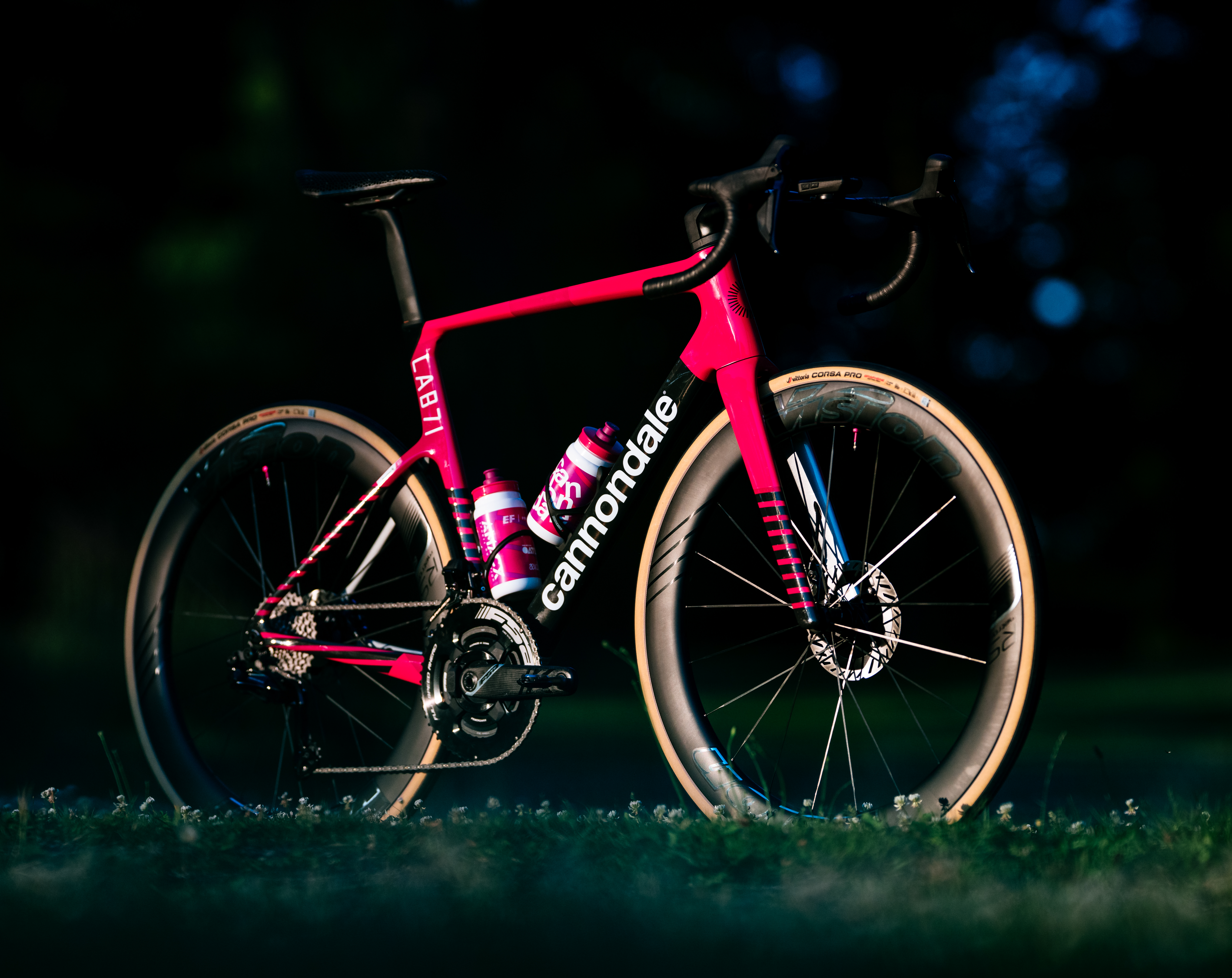 支給品　ビブショーツ　Cannondale PRO CYCLING TEAM 支給品 ビブショーツ Cannondale PRO CYCLING TEAMの通販 by