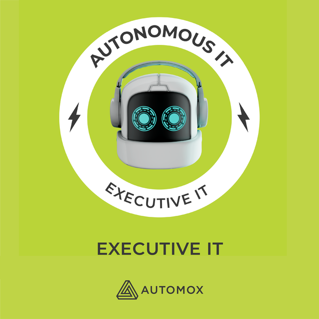 Executive IT
