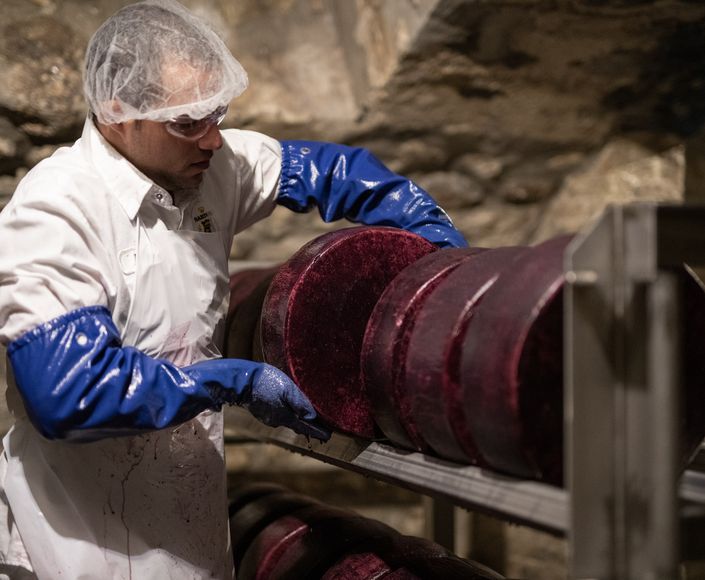 A cheesemaker in protective gear inspects large wheels of cheese aging on a metal rack in a stone-walled cellar.