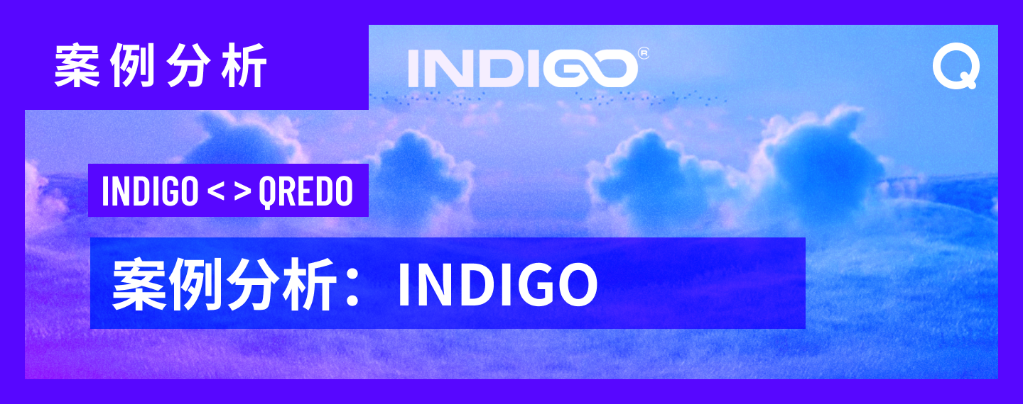 案例分析： Indigo 基金