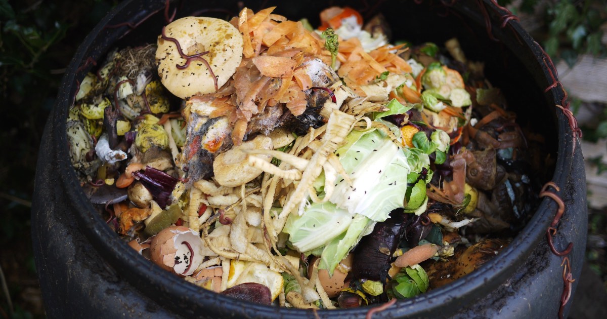 How To Make Homemade Compost Allotment Book