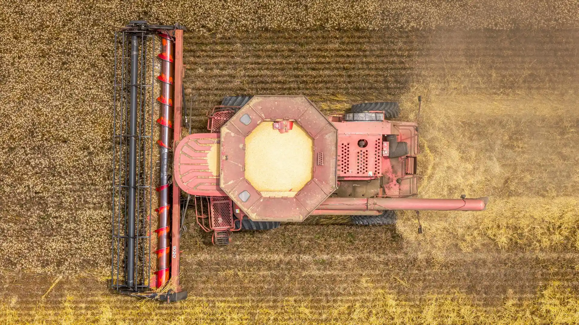 A harvester in a field