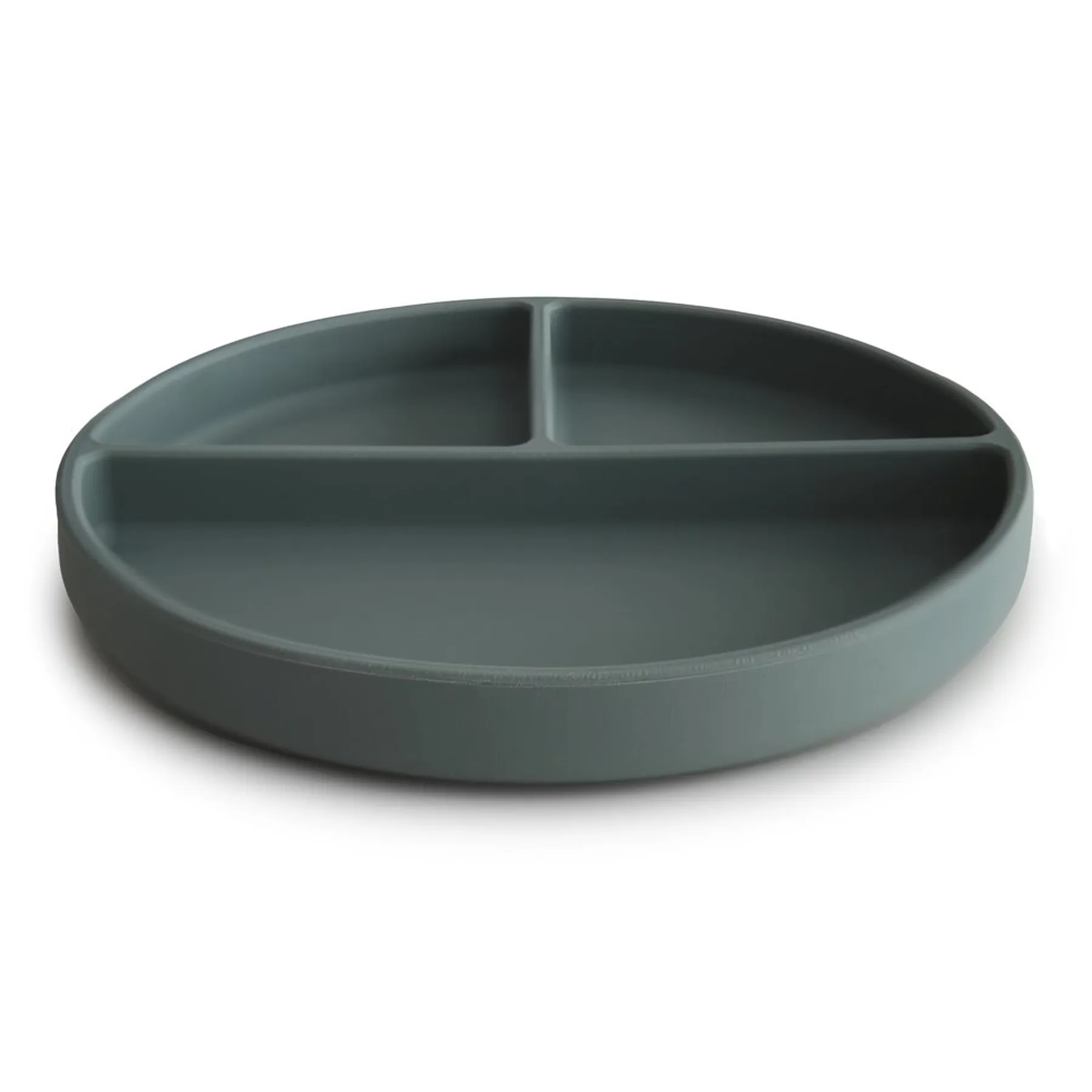 Silicone Suction Plate - 2