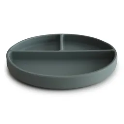 Silicone Suction Plate - 2
