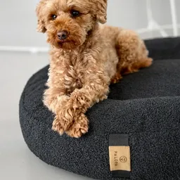 Fippa fánkalakú kutyaágy - 4