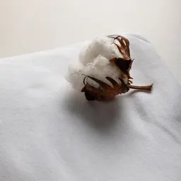 Cearșaf din bumbac organic, 90 x 160 cm - 4