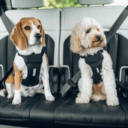 Thule Cappy autós kutyahám   - 6