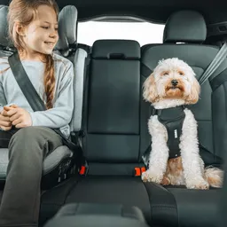 Thule Cappy autós kutyahám   - 5