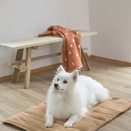 Saltea pentru câini, Alma - 4