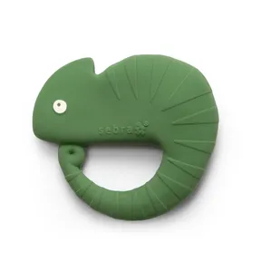 Carley the chameleon