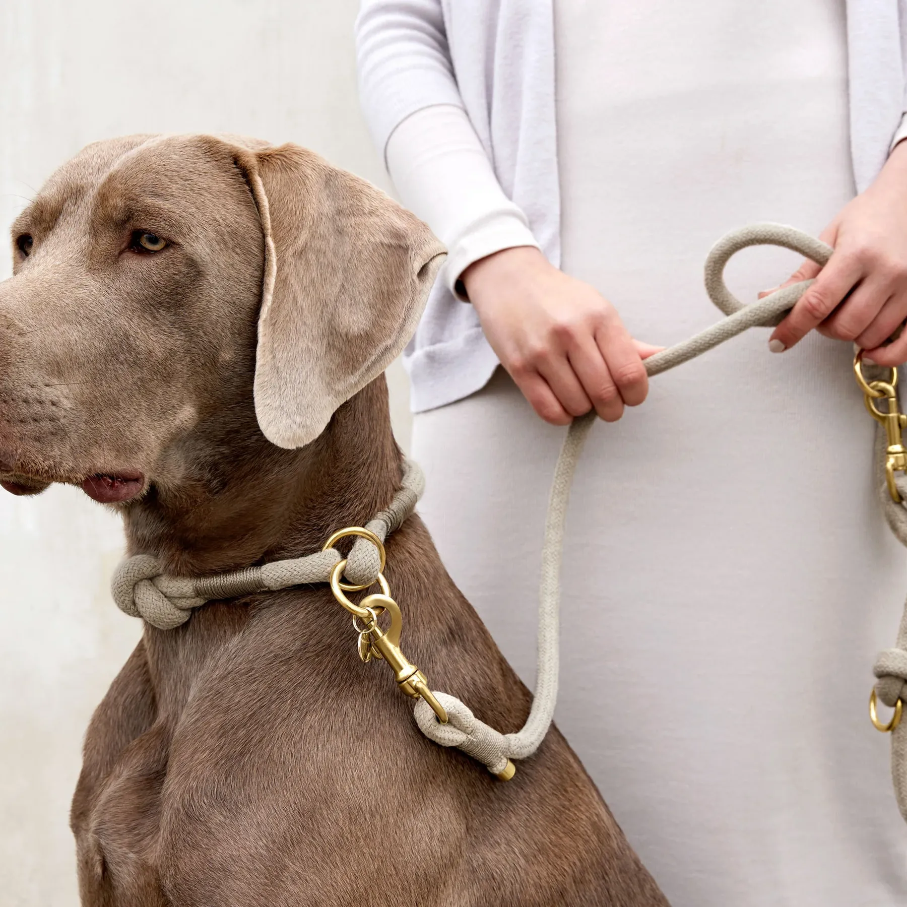 Zgardă împletită din in pentru câini, Mila - 3