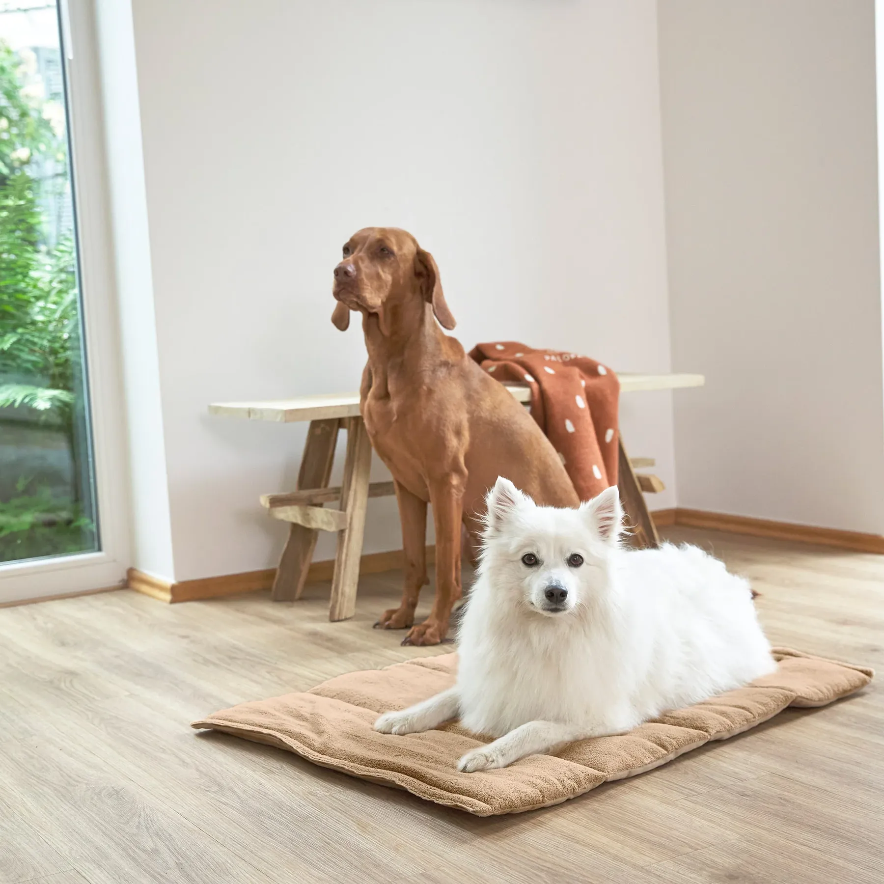 Saltea pentru câini, Alma - 5