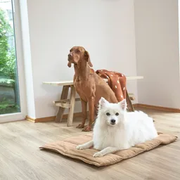 Saltea pentru câini, Alma - 5