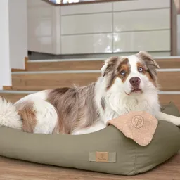 Pat din bumbac pentru câini, Fred - 5