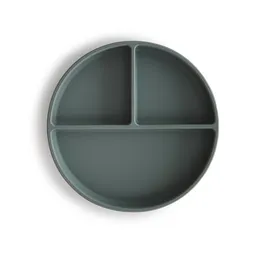 Silicone Suction Plate - 1