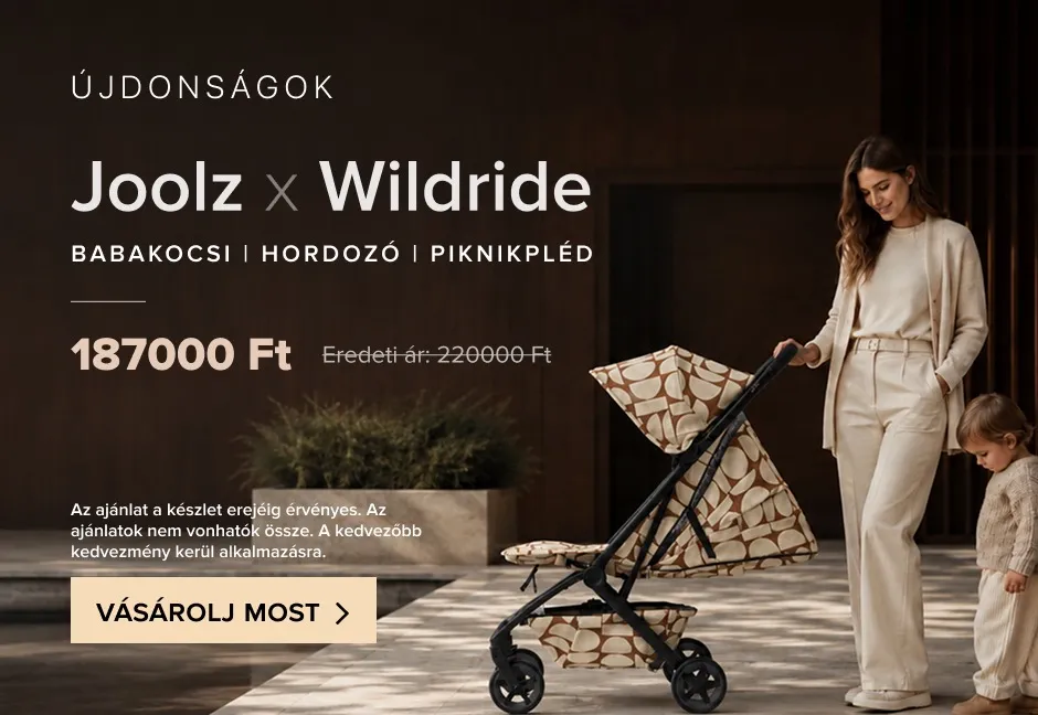 https://a.storyblok.com/f/137473/940x648/5b1d488035/banner_wildride_hu.jpeg
