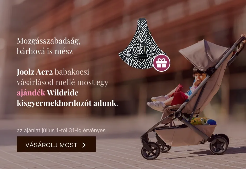 https://a.storyblok.com/f/137473/940x648/c202ed4ff1/banner_aer2_wildride-2.jpeg