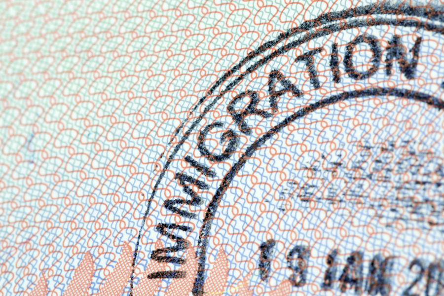 Close-up of a passport page with a detailed immigration stamp pattern in red and blue, showing intricate security features and wavy lines.