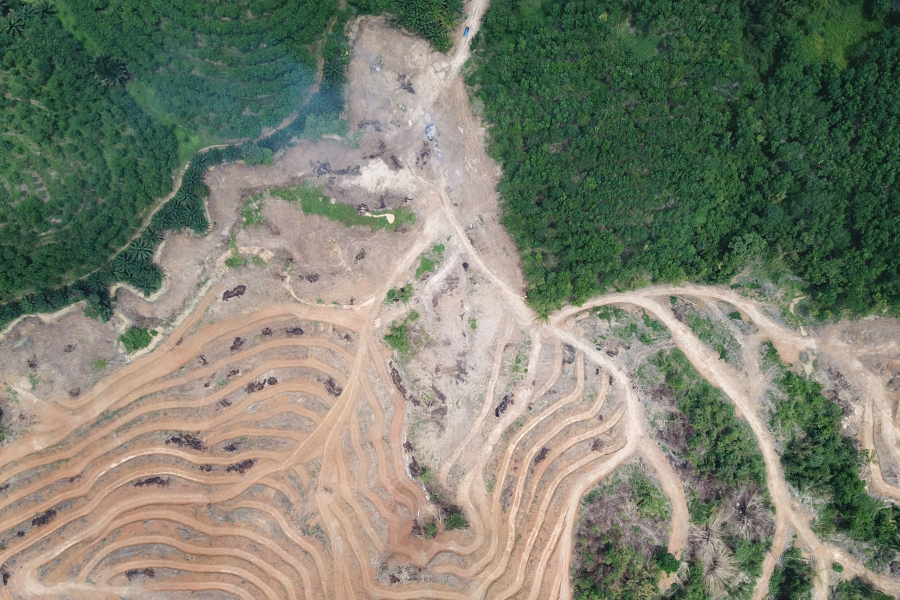 An arial view of a rainforest undergoing deforestation