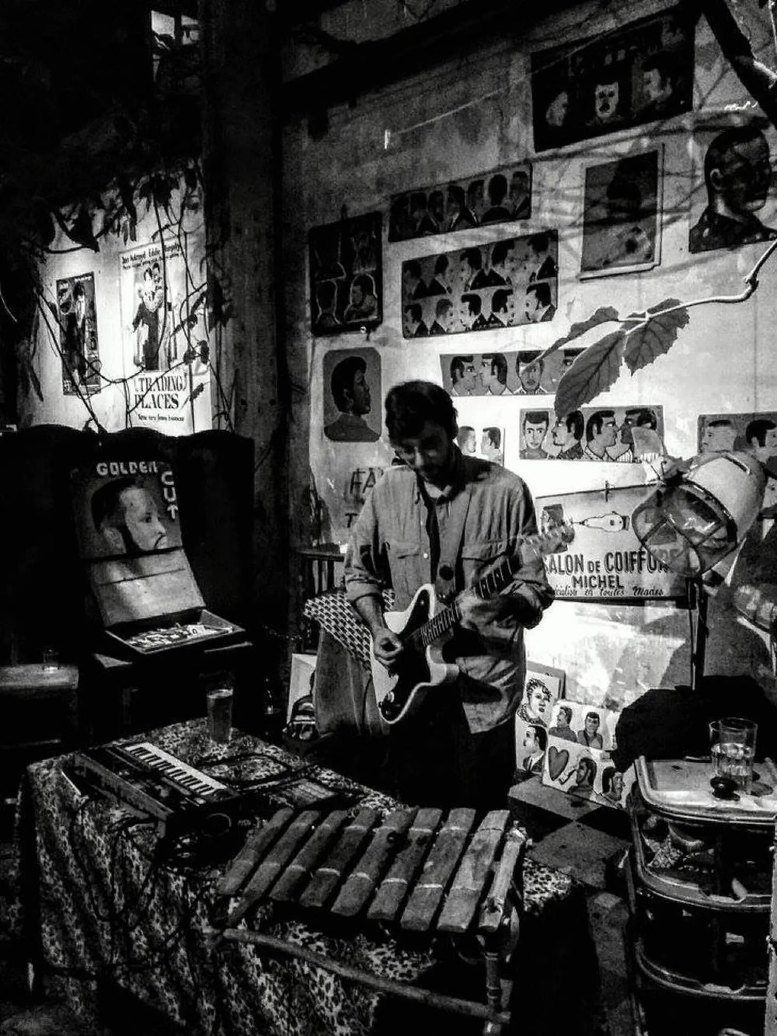 cosmic analog ensemble