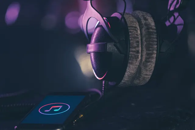 headphones large