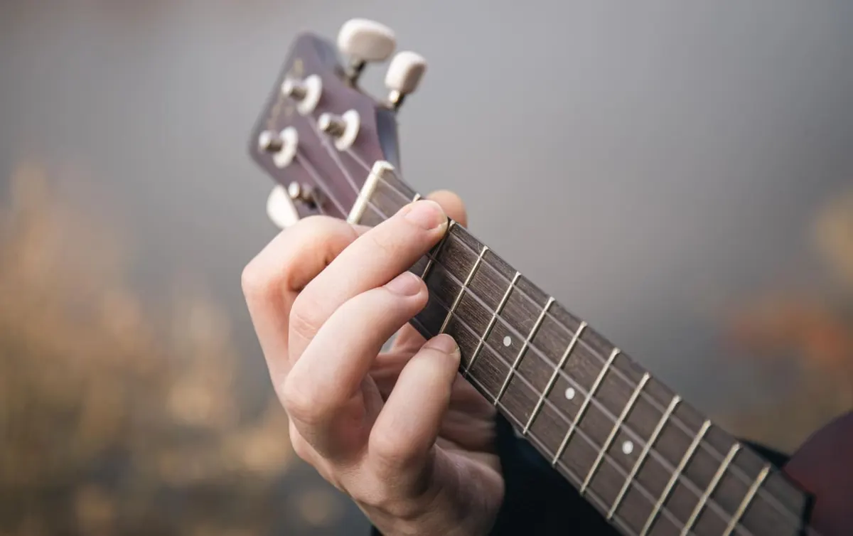 Guitar