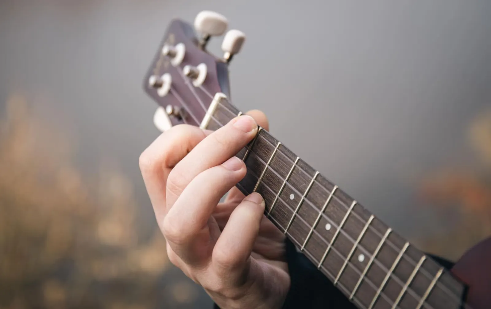 Guitar