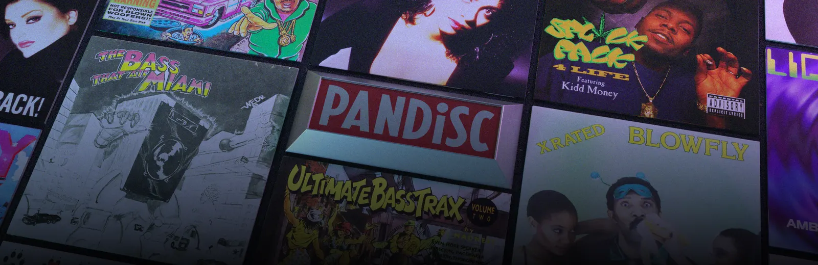 pandisc-blog-header.png