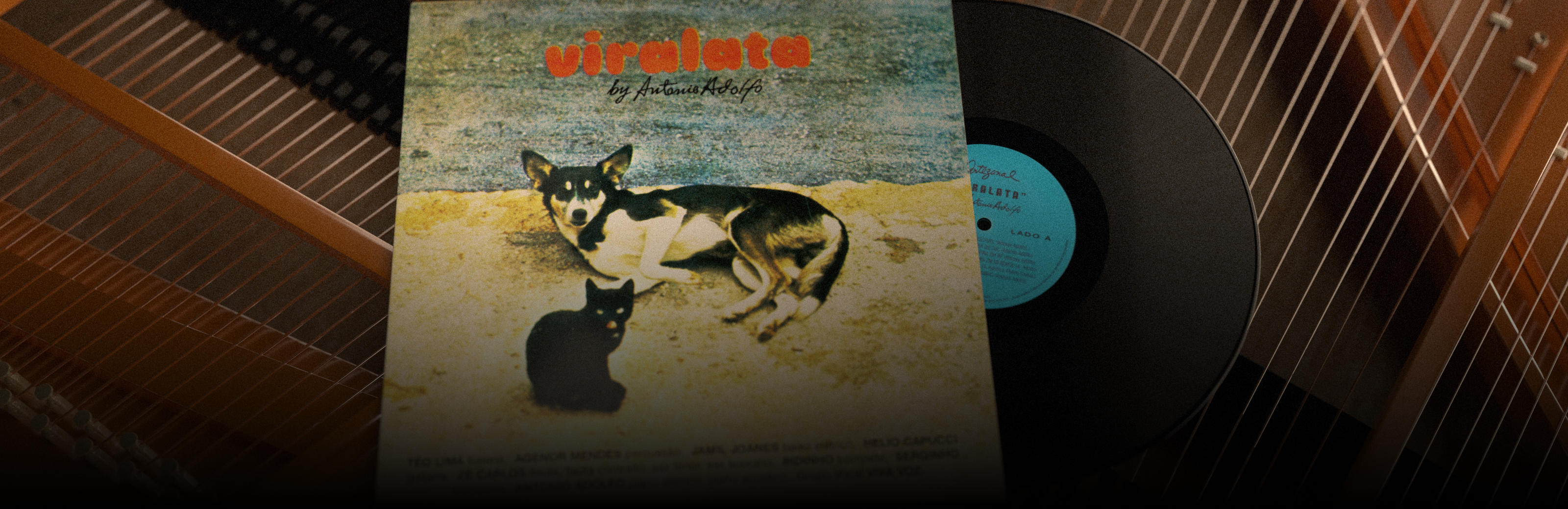 antonio-adolfo-blog-header.png