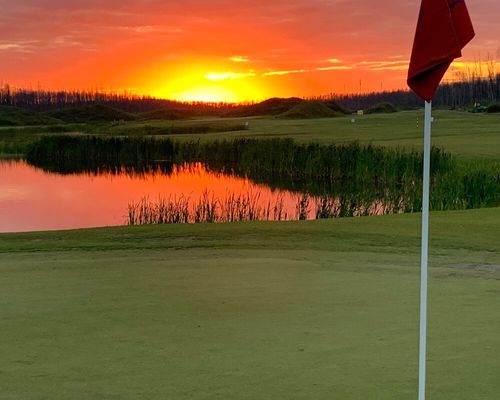 Rotary Links golf