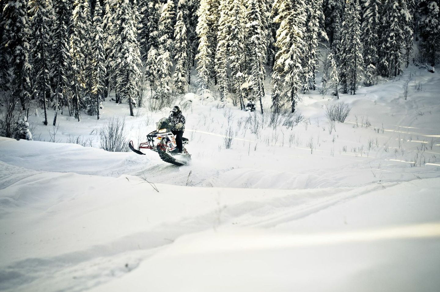 snowmobiling across snowy terrain