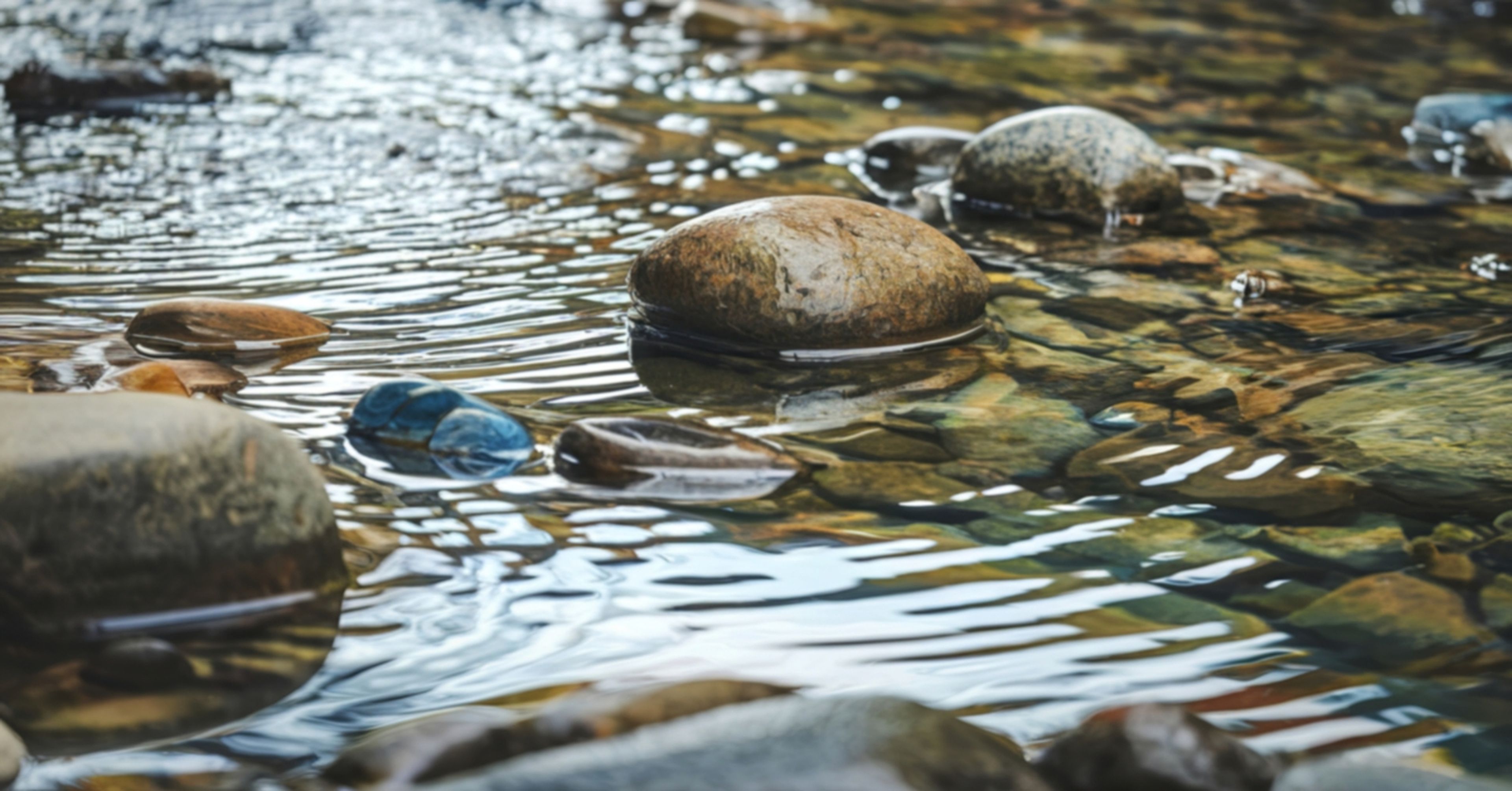 Understanding Water Rights and Legal Issues Across States