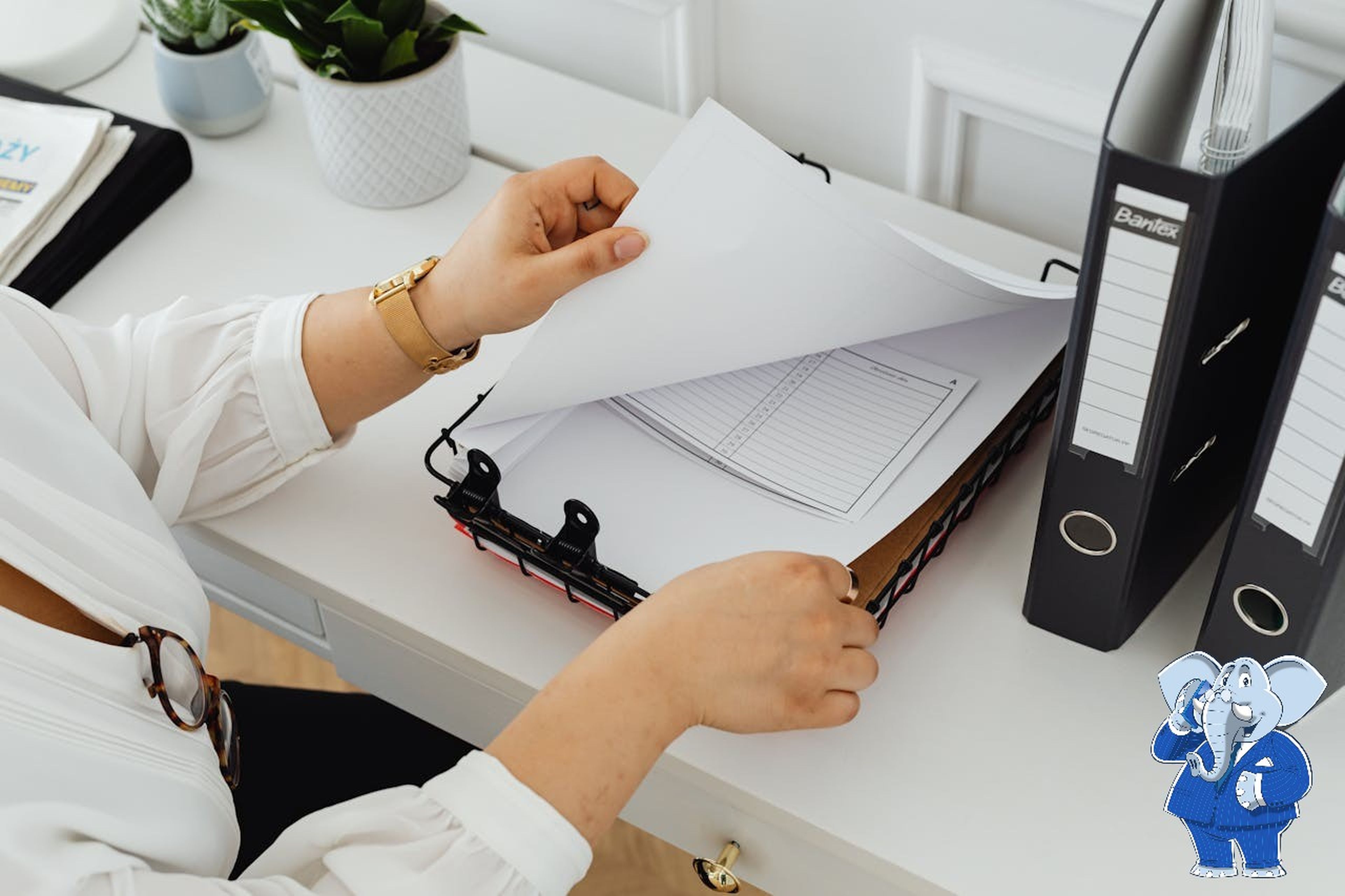 What You Should Know About IRS Audit Representation Costs